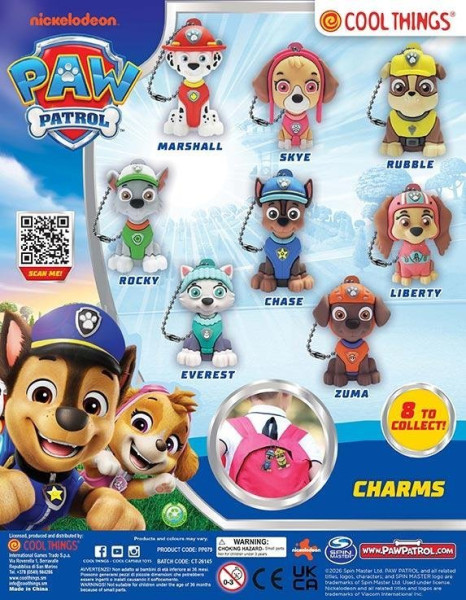 PRE Paw Patrol Charms Coin Bank 50 mm (1)